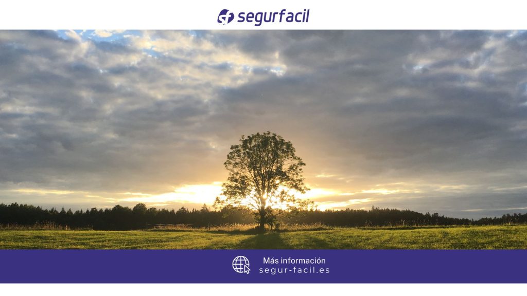 seguros de vida ponferrada